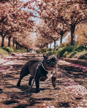Image post by @allieaurora on Instagram