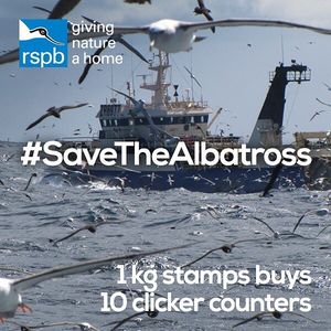 Image post by @rspb on Instagram