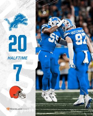 Image post by @Lions on Twitter