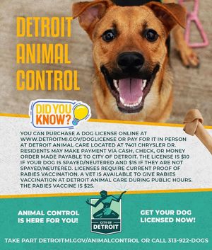 Image post by @DetroitParksRec on Facebook