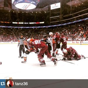 Image post by @arizonacoyotes on Instagram