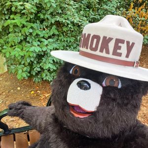 Image post by @smokeybear on Instagram