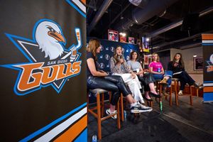 Image post by @sdgullsahl on Instagram