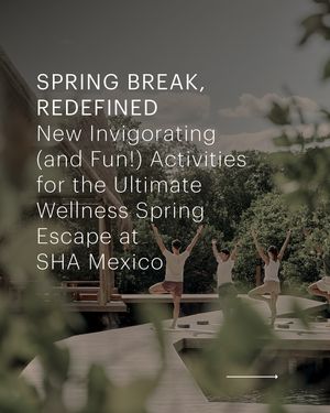 Image post by @shawellness on Instagram