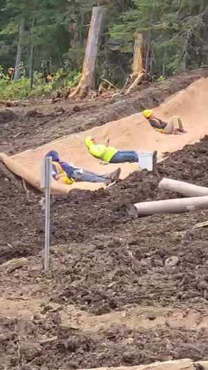 Video post by @thepipelinelife on TikTok