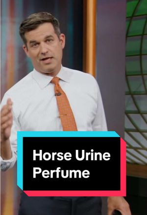 Video post by @thedailyshow on TikTok