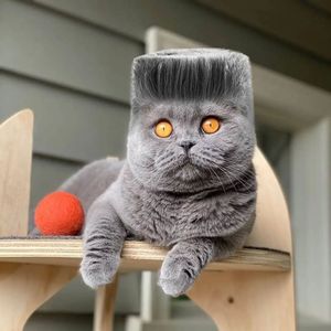 Image post by @behindthechair_com on Instagram