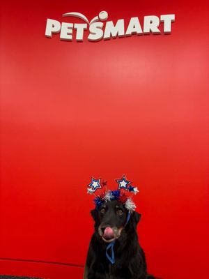 Image post by @petsmart on Instagram
