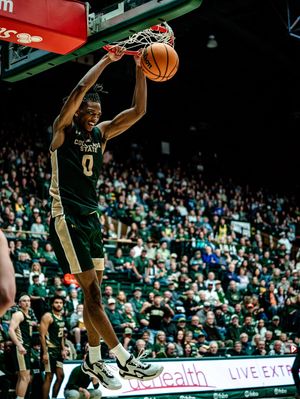 Image post by @tyler.corbo on Instagram