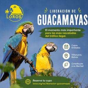Image post by @fundacionloros on Instagram