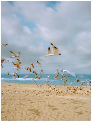Image post by @alexkittoephotos on Instagram