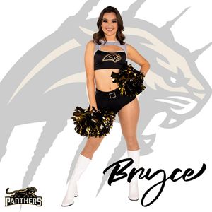 Image post by @panthersdanceteam on Instagram