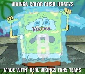 Image post by @nflmemeguy on Instagram
