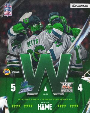 Image post by @fl_everblades on Instagram