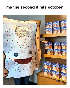 Image post by @poptartsus on Instagram