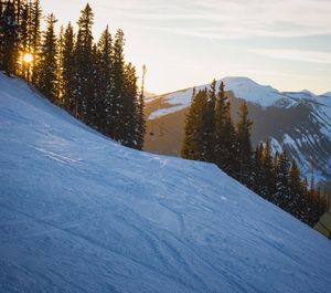 Image post by @skicrestedbutte on Instagram