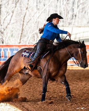 Image post by @smuequestrian on Instagram