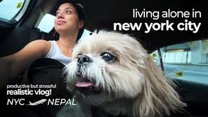 Video post by @tishashrestha on YouTube