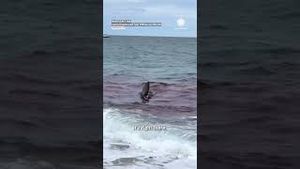 Video post by @accuweather on YouTube