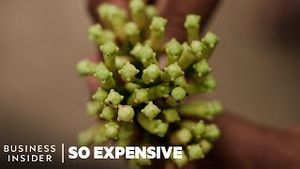 Video post by @businessinsider on YouTube