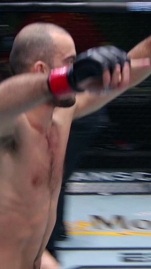 Video post by @ufc on TikTok