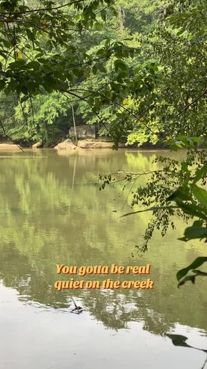 Video post by @jfordcreations on TikTok