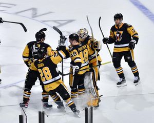 Image post by @wbspenguins on Instagram