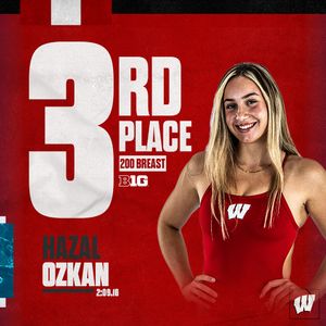Image post by @badgerswimdive on Instagram