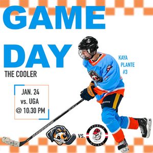 Image post by @tennesseewhockey on Instagram