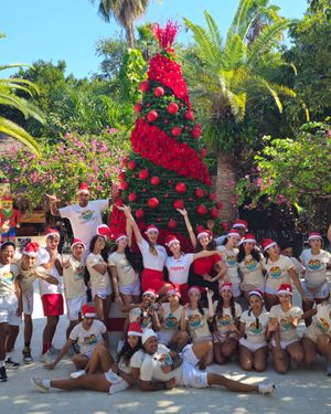Image post by @vivaresorts on Instagram