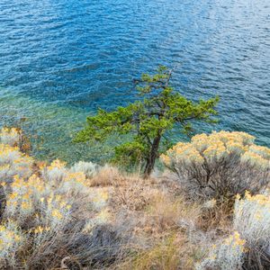 Image post by @cityofkelowna on Instagram