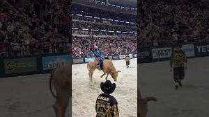 Video post by @pbr on YouTube