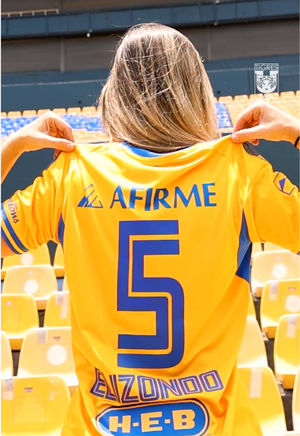 Video post by @clubtigresfemenil on TikTok