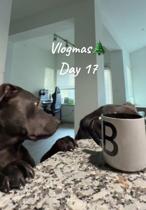 Video post by @masteringbreezy on TikTok