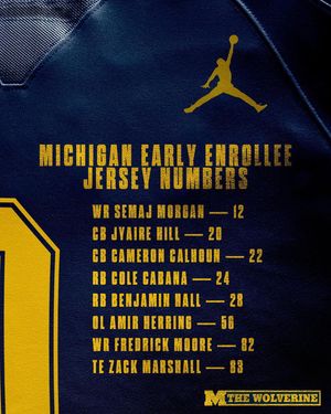 Image post by @thewolverineon3 on Instagram