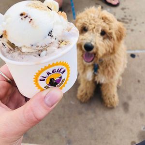 Image post by @5280foodiez on Instagram