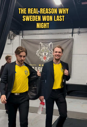 Video post by @chiwolves on TikTok