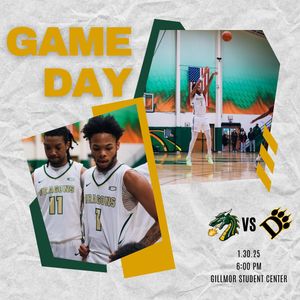 Image post by @tiffinuhoops on Instagram