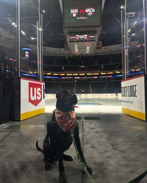 Image post by @mn-wild-pup on Facebook