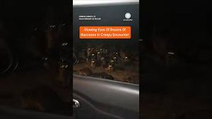 Video post by @accuweather on YouTube
