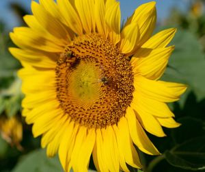 Image post by @txextension on Instagram