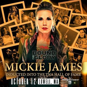 Image post by @themickiejames on Instagram