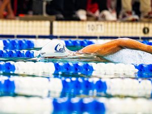 Image post by @calmenswim on Instagram