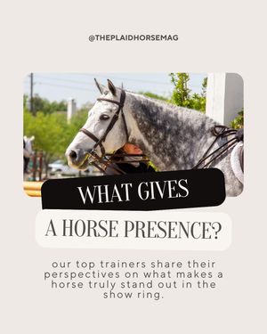 Image post by @theplaidhorsemag on Instagram