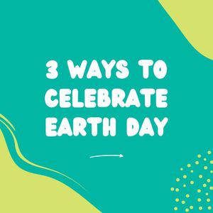 Image post by @sweetleaf on Instagram