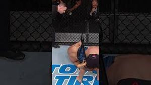 Video post by @ufc on YouTube