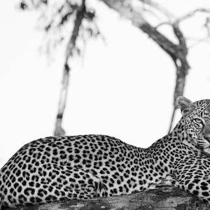 Image post by @guybrunskillphoto on Instagram