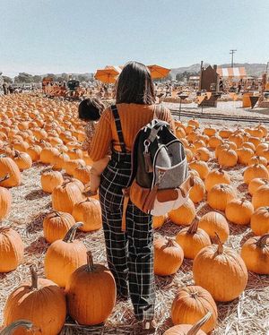 Image post by @itzyritzy on Instagram
