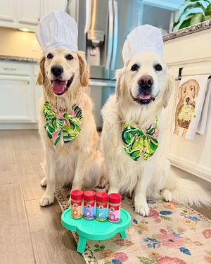 Image post by @charlee_bear_dogtreats on Instagram