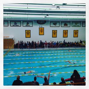 Image post by @towsontigersvb on Instagram